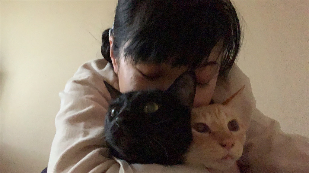 f:id:nekobacafe:20221019040125j:image