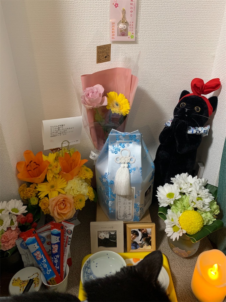 f:id:nekobacafe:20221213200437j:image
