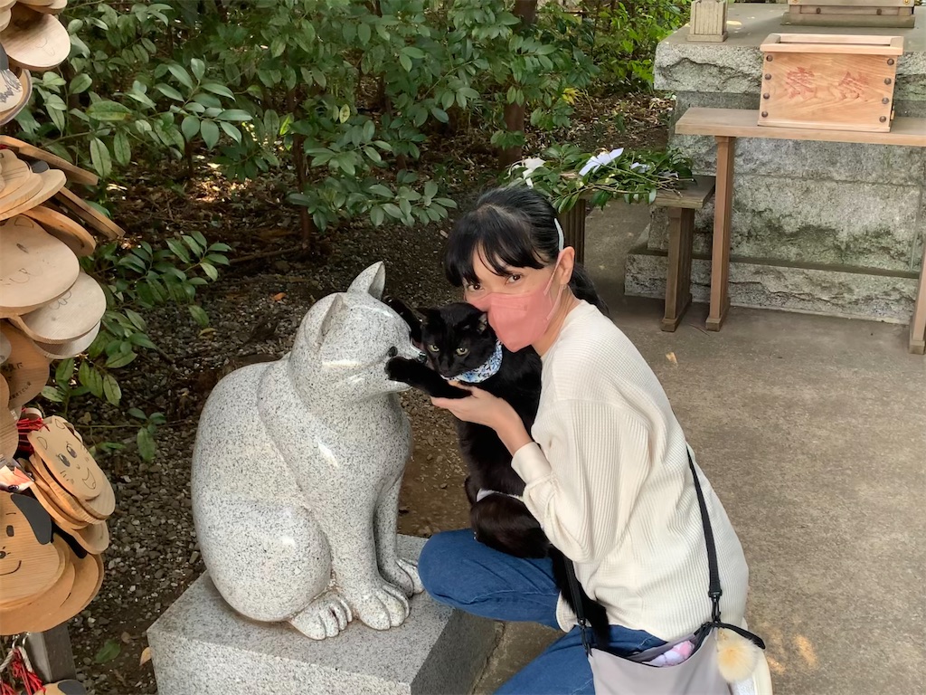 f:id:nekobacafe:20230112055723j:image f:id:nekobacafe:20230112055723j:image