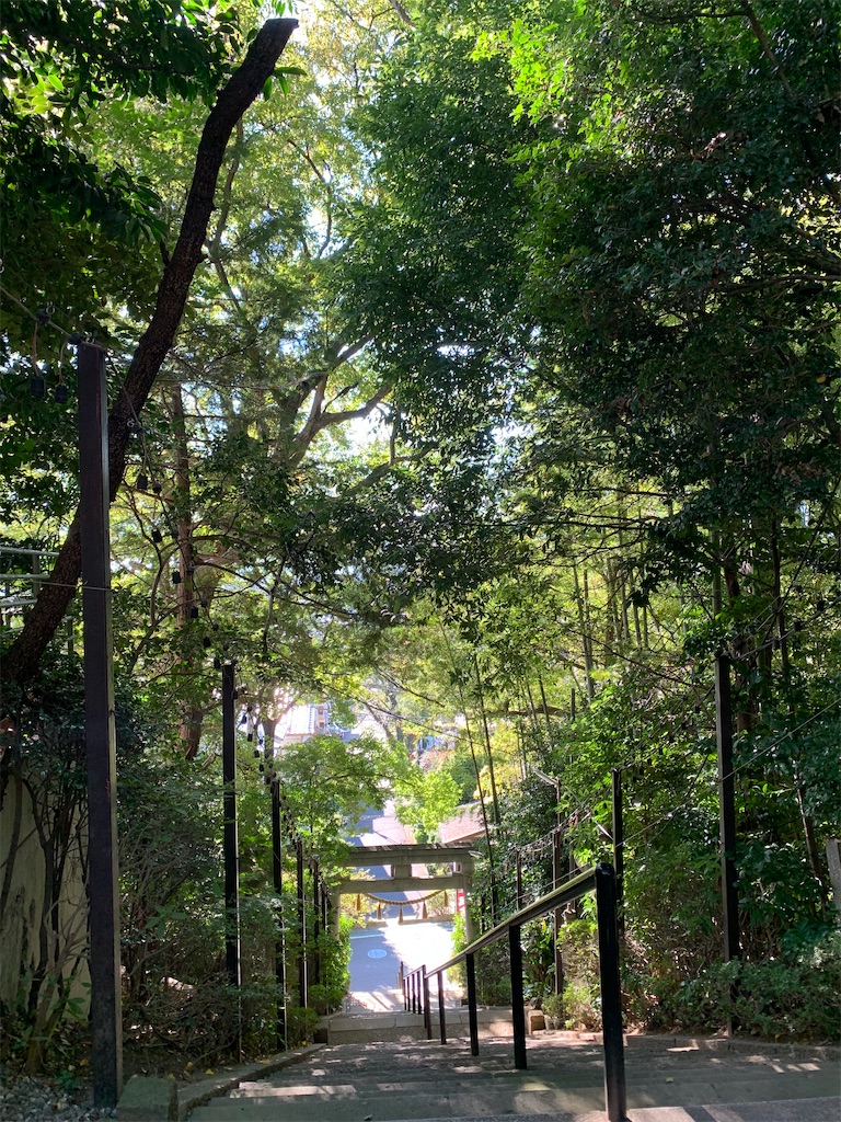 f:id:nekobacafe:20230112055729j:image f:id:nekobacafe:20230112055729j:image