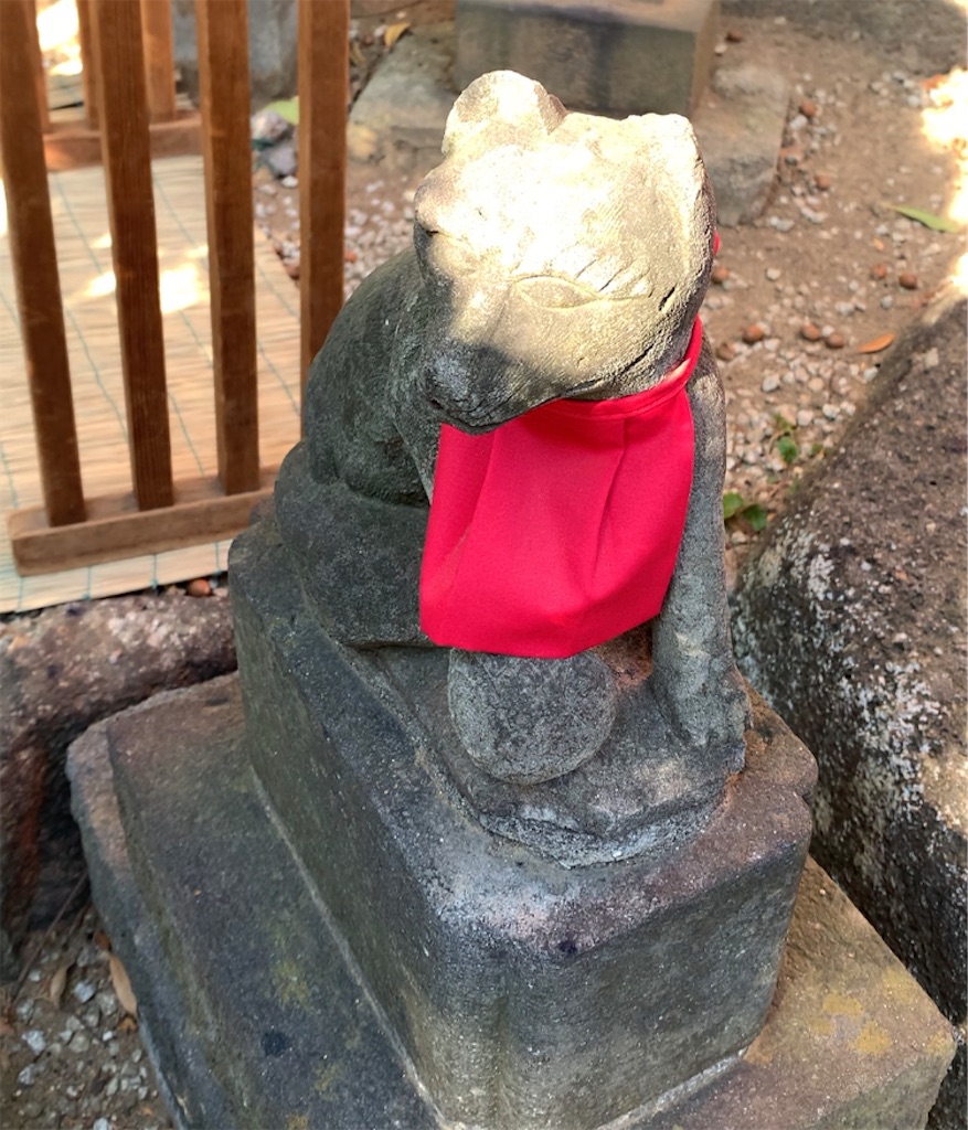 f:id:nekobacafe:20230205230811j:image