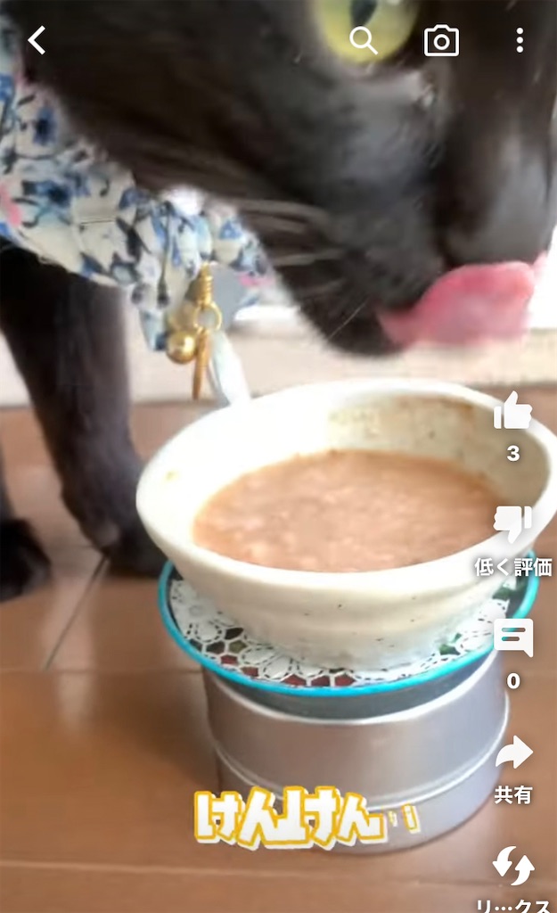 f:id:nekobacafe:20230307141304j:image