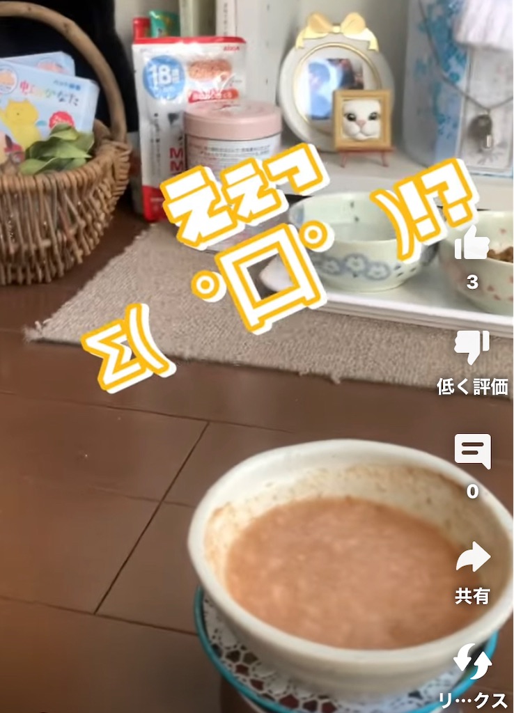 f:id:nekobacafe:20230307141307j:image