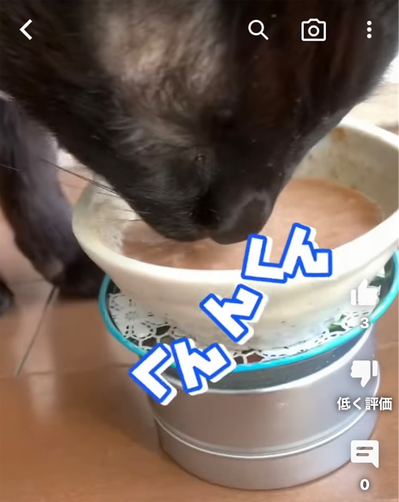 f:id:nekobacafe:20230307141410j:image