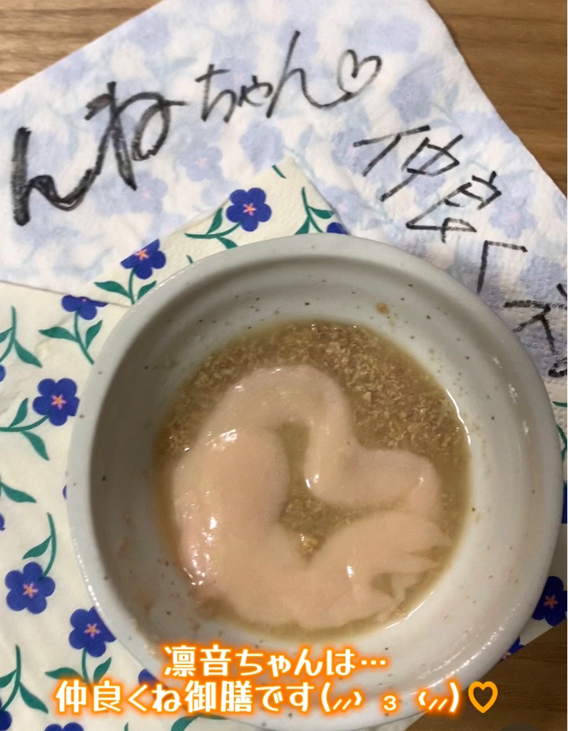 f:id:nekobacafe:20230816003136j:image