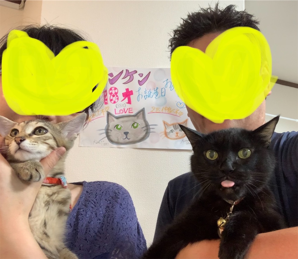 f:id:nekobacafe:20230816003513j:image