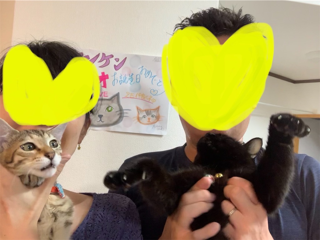f:id:nekobacafe:20230816003701j:image
