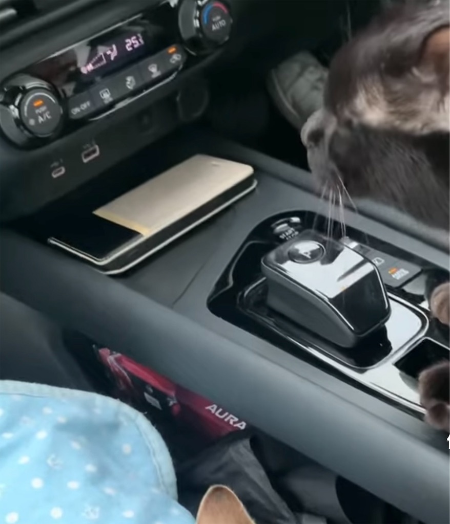 f:id:nekobacafe:20231207193353j:image f:id:nekobacafe:20231207193353j:image