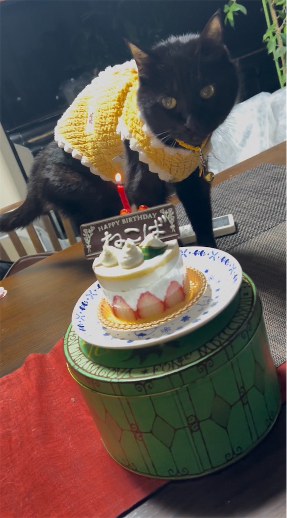 f:id:nekobacafe:20260212084534j:image f:id:nekobacafe:20260212084534j:image