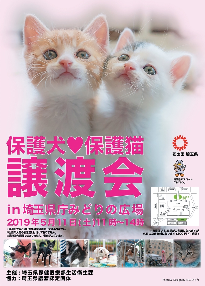 f:id:nekobesan:20190507230804j:plain