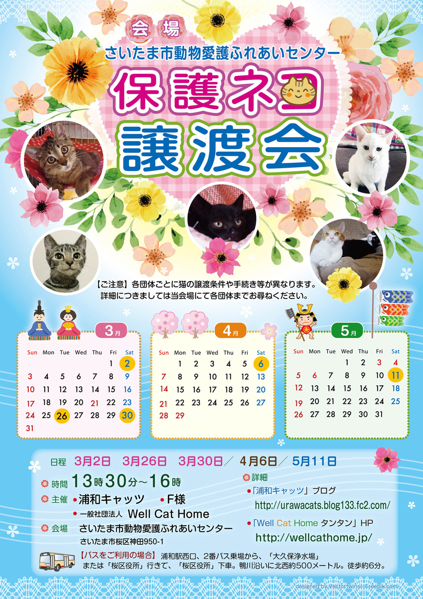 f:id:nekobesan:20190507231533j:plain