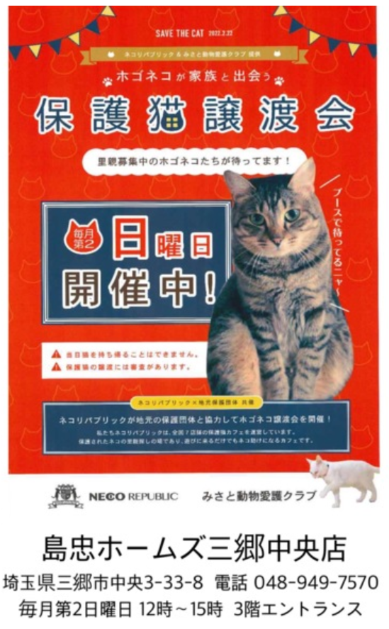 f:id:nekobesan:20190508112647p:plain