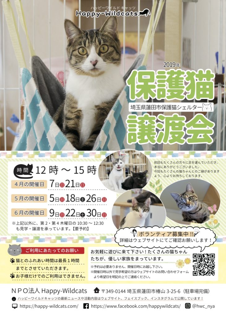 f:id:nekobesan:20190508174739j:plain