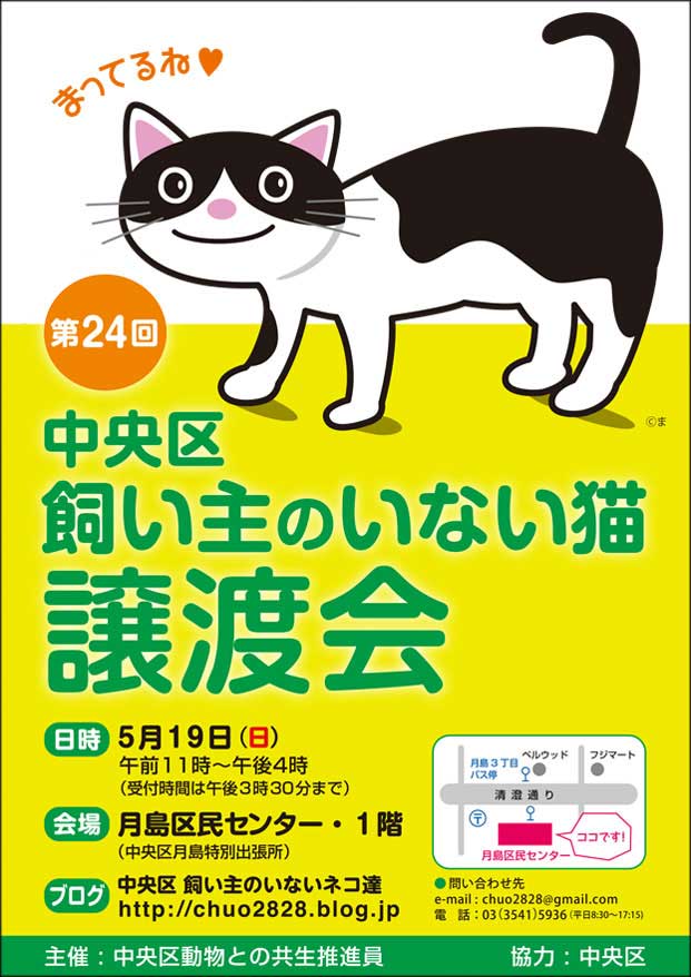 f:id:nekobesan:20190508180347j:plain