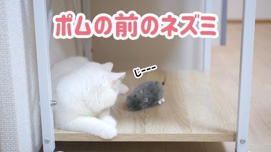 f:id:nekobeya:20180905110108j:plain