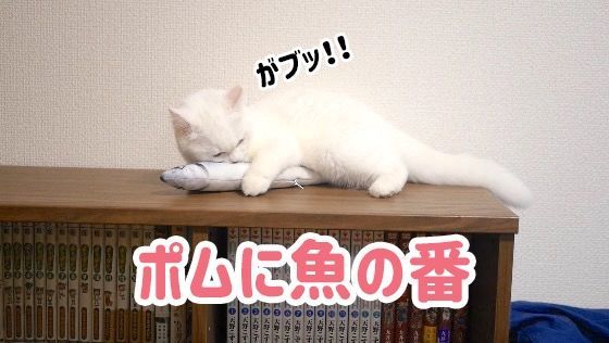 f:id:nekobeya:20180905121500j:plain