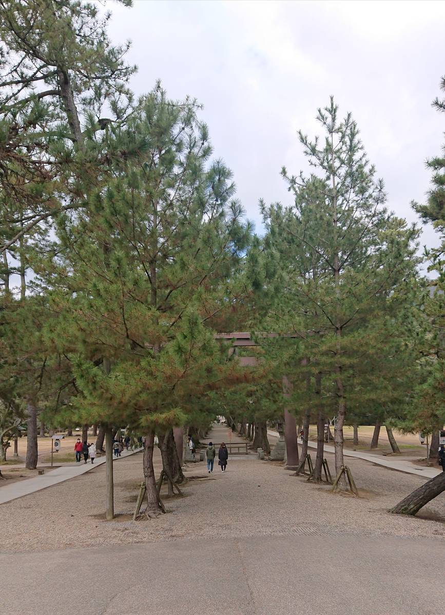 f:id:nekobuchou:20190408204301j:plain f:id:nekobuchou:20190408204301j:plain