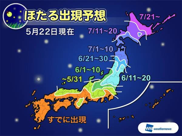 f:id:nekobuchou:20190615175136j:plain