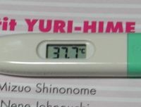 f:id:nekobunbusoku:20090113203109j:image f:id:nekobunbusoku:20090113203109j:image