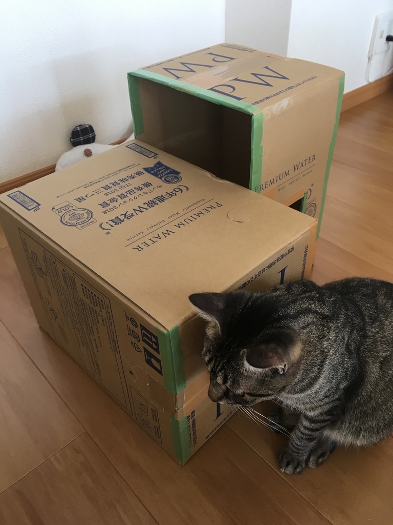 ダンボールで作った猫ハウス ねこブリアンの日常