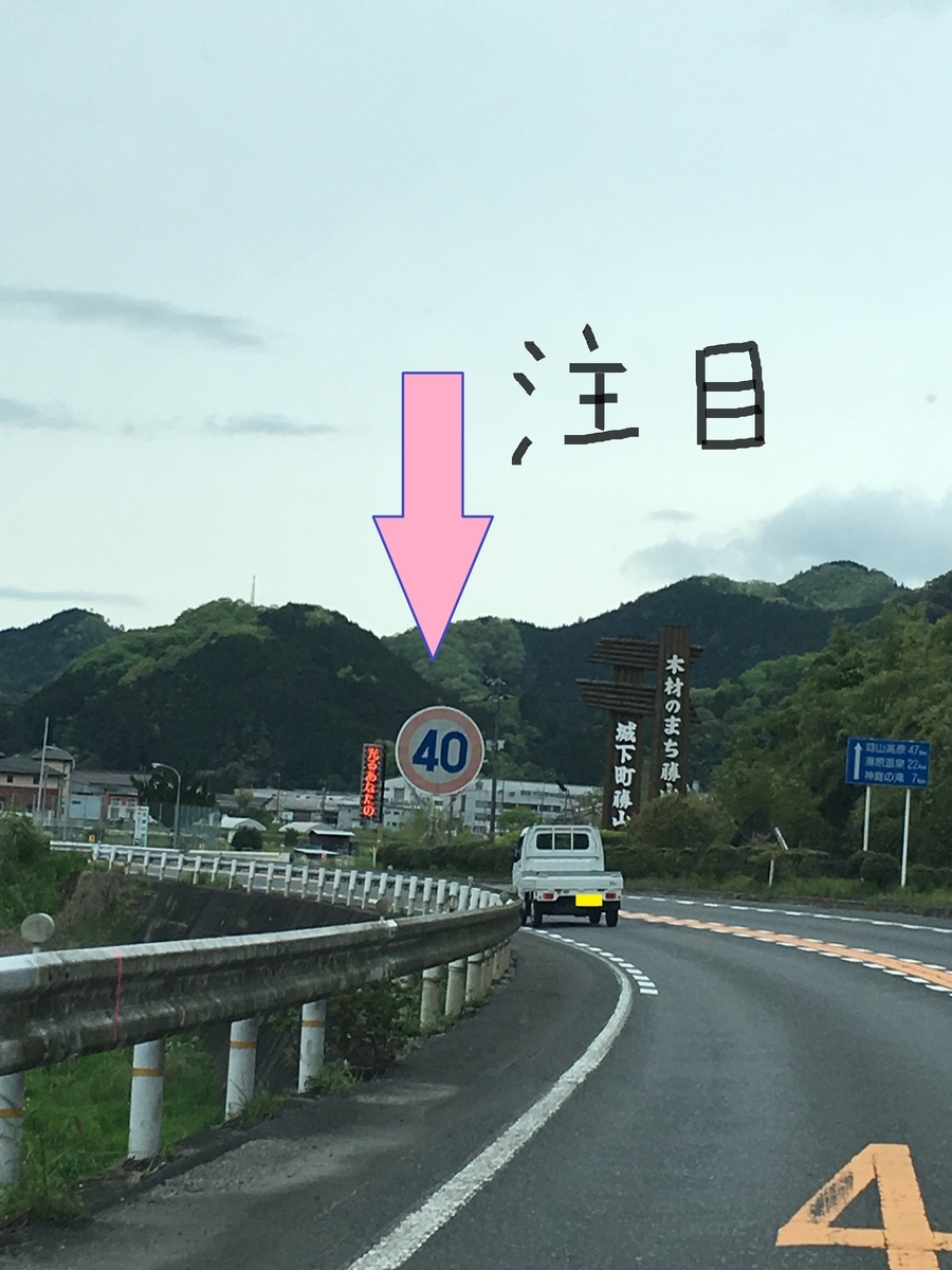 でかすぎる制限速度標識 - ねこブリアンの日常