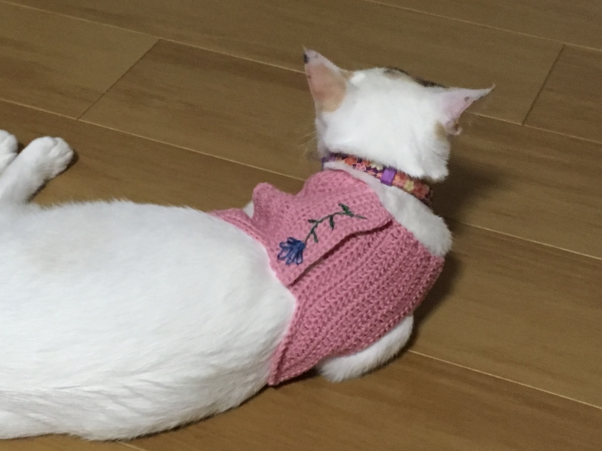 f:id:nekoburian:20190701165853j:plain