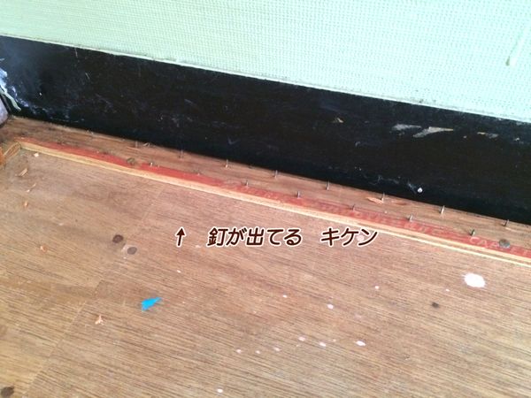 f:id:nekochawan:20180705194212j:plain f:id:nekochawan:20180705194212j:plain