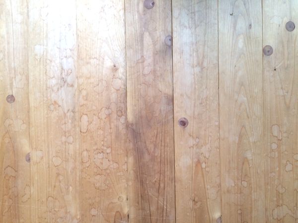 f:id:nekochawan:20180706193722j:plain f:id:nekochawan:20180706193722j:plain