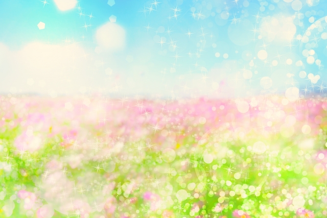 f:id:nekochawan:20180712110013j:plain f:id:nekochawan:20180712110013j:plain