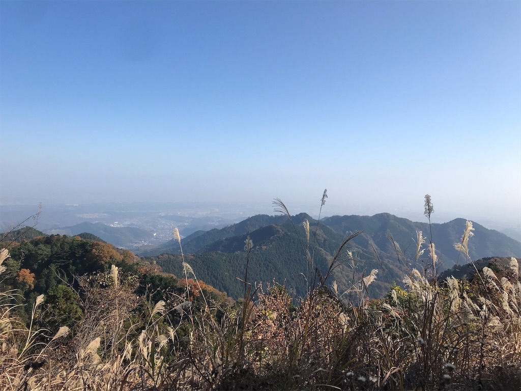 f:id:nekochiyo3:20201120235535j:image