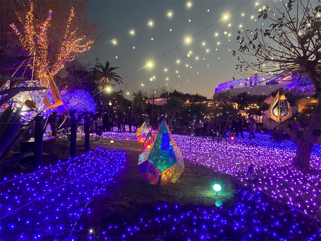 f:id:nekochiyo3:20230119074114j:image