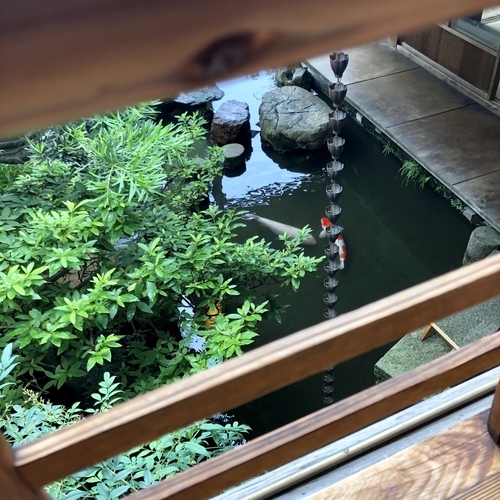 二階からの眺め