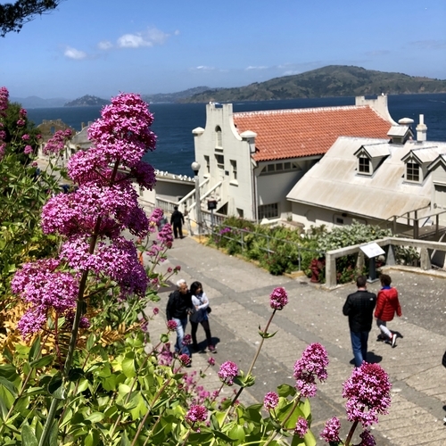 アルカトラズ島