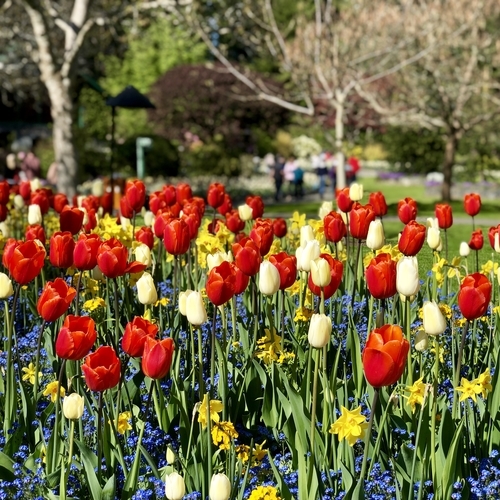 ブッチャートガーデン