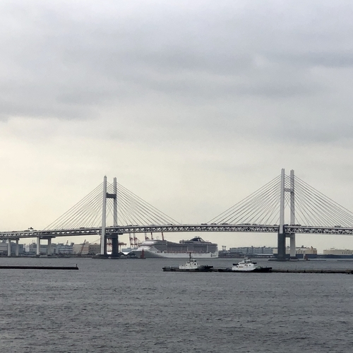 大さん橋から見た大黒ふ頭に泊まるMSCスプレンディダ