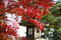 [法隆寺]法隆寺の紅葉