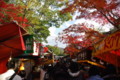 [京都][紅葉]八坂神社