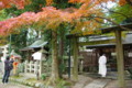 [京都][紅葉]八坂神社