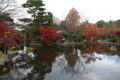 [京都][紅葉]円山公園