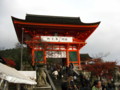 [京都][紅葉]清水寺