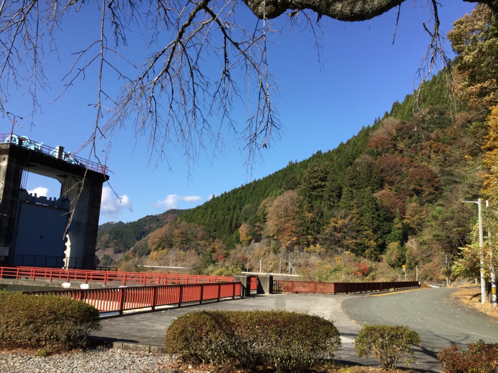 f:id:nekogahora:20161123105545j:plain