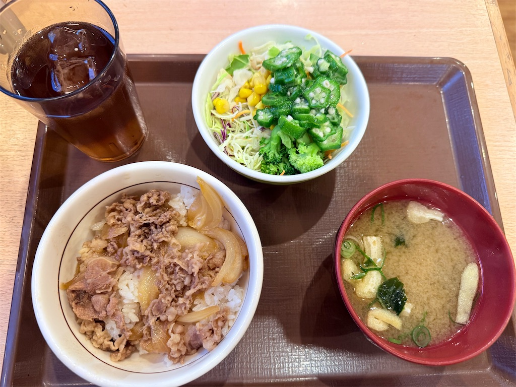 f:id:nekogamisama:20260223180245j:image