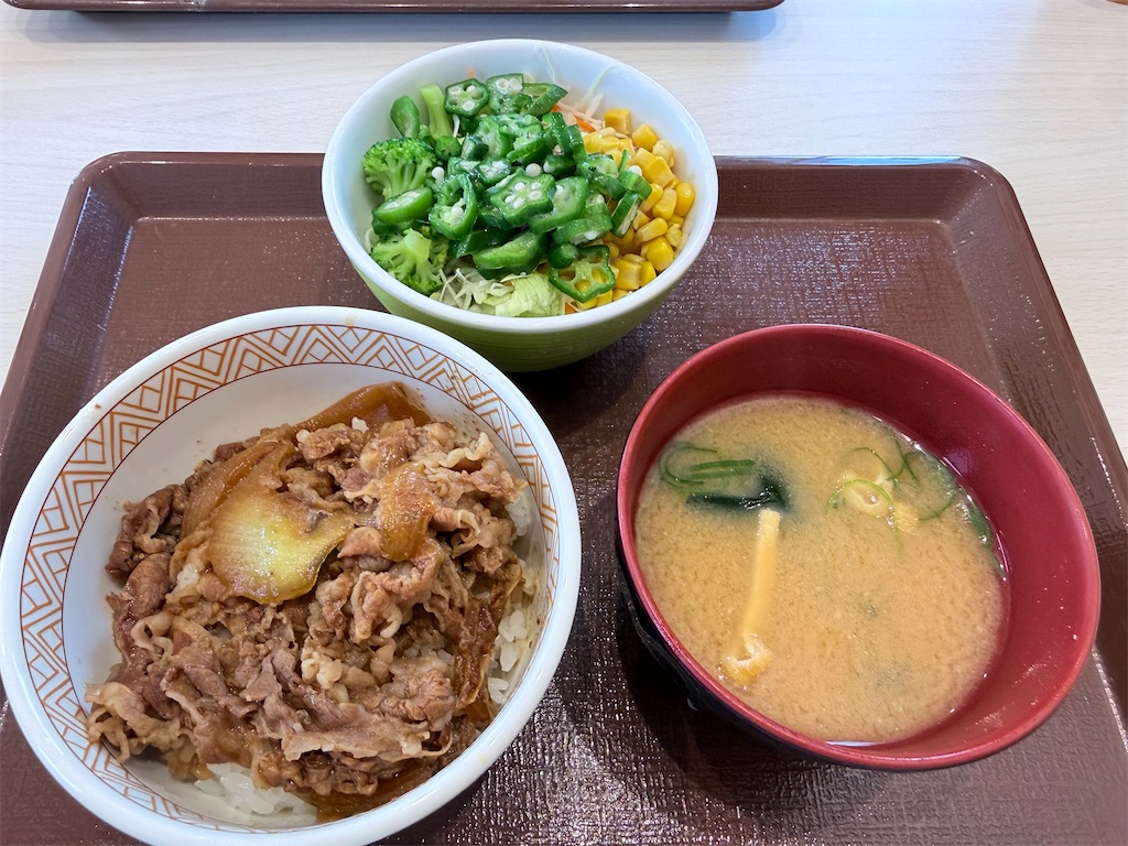 f:id:nekogamisama:20260508212456j:image