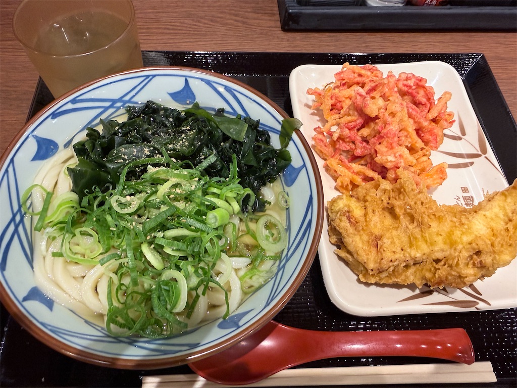 f:id:nekogamisama:20260708175422j:image
