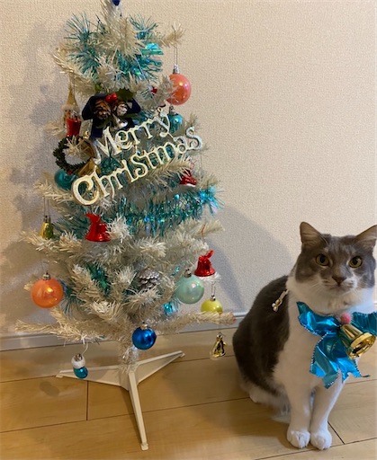 f:id:nekogatarin:20211224130554j:image f:id:nekogatarin:20211224130554j:image
