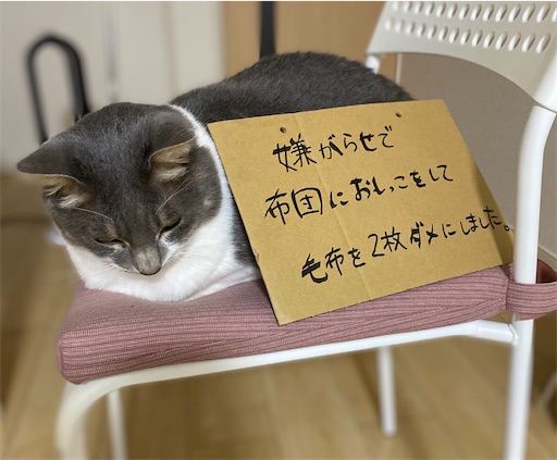 f:id:nekogatarin:20220125213905j:image f:id:nekogatarin:20220125213905j:image
