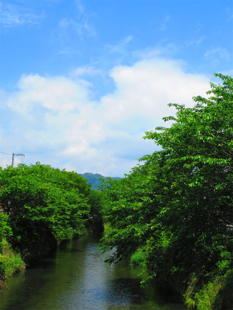 f:id:nekohachi88:20170627161225j:image f:id:nekohachi88:20170627161225j:image