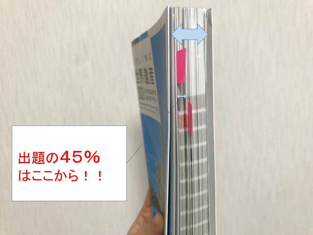 f:id:nekohana7:20190330194122p:plain