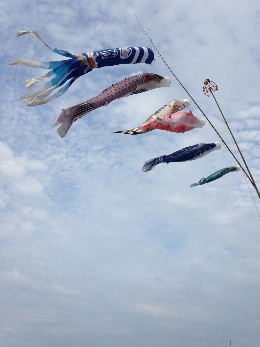 f:id:nekohana7:20190415212859j:plain