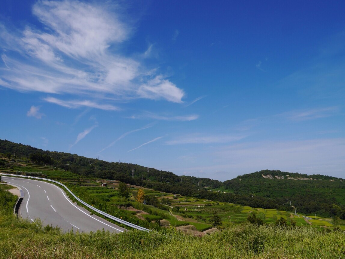 f:id:nekohana7:20190511151139j:plain